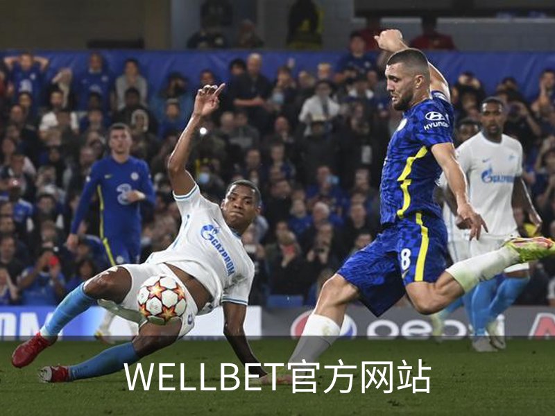 了解WELLBET官方网站